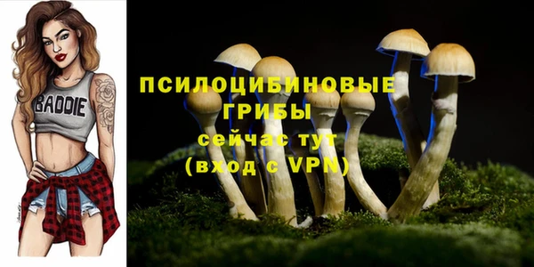 синтетический гашиш Иннополис