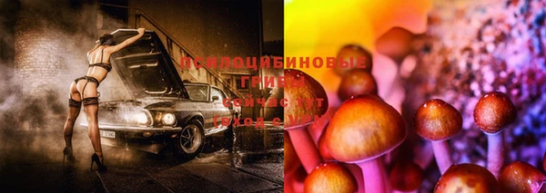 марки nbome Инсар